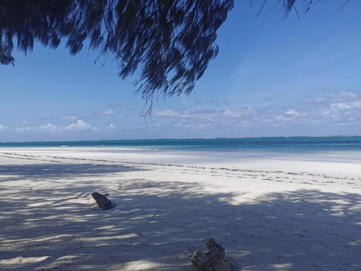 Zumzum Beach House Bed & Breakfast Kinondo Exterior photo